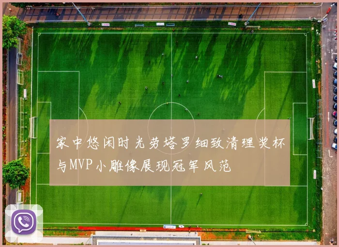 家中悠闲时光劳塔罗细致清理奖杯与MVP小雕像展现冠军风范