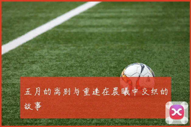 五月的离别与重逢在晨曦中交织的故事